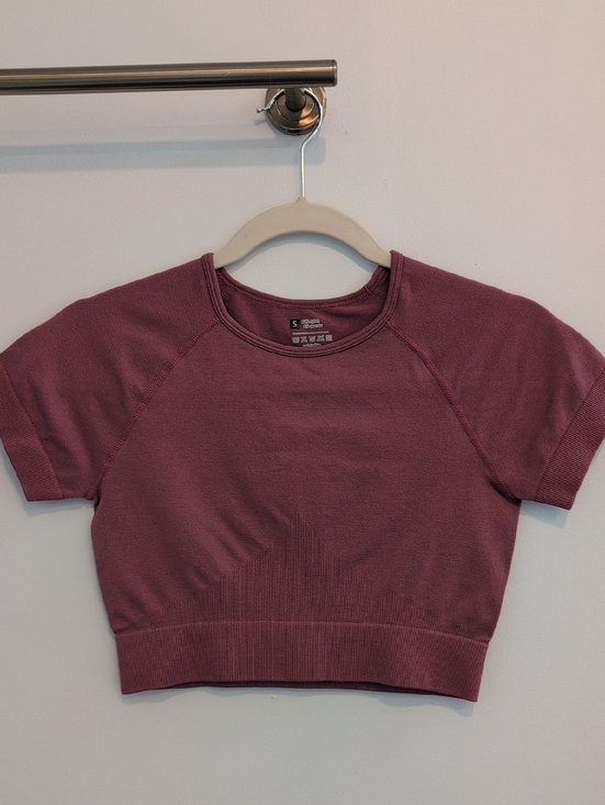 Tops - Seamless Short Sleeve Crop Workout Top - Mauve Pink
